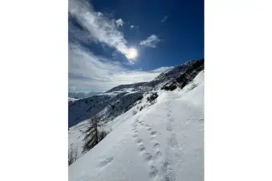 Racchette da neve (ciaspole)